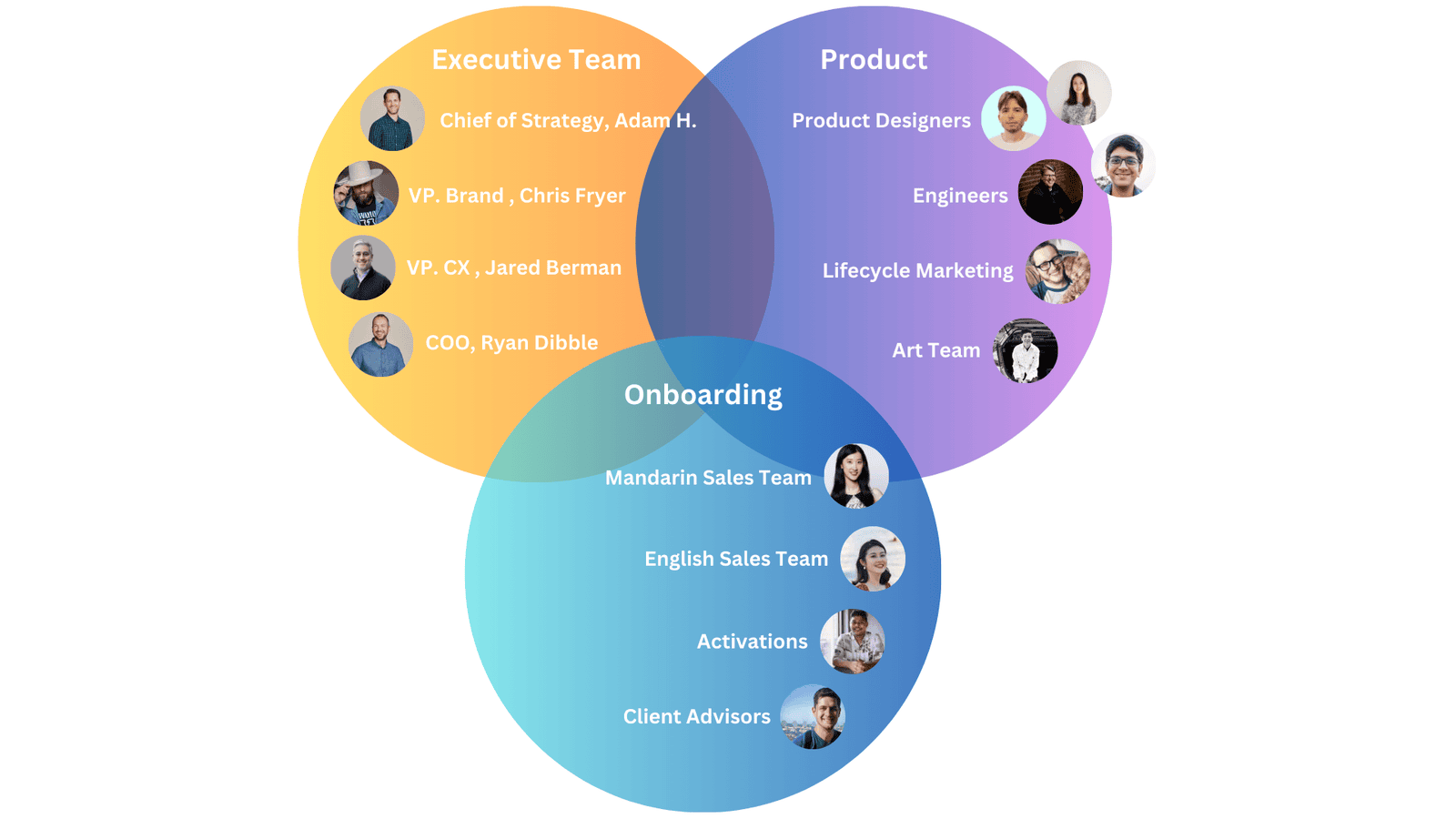 Embedded Team Structure: an overview of the teams Zack worked with